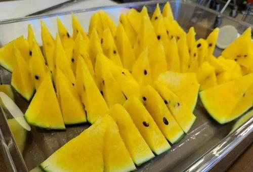 满甜吃瓜全过程免费观看,满甜吃瓜大揭秘，免费观看精彩瞬间  第2张