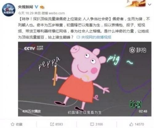 微博爆料佩奇是谁的视频,揭秘“佩奇”身份之谜